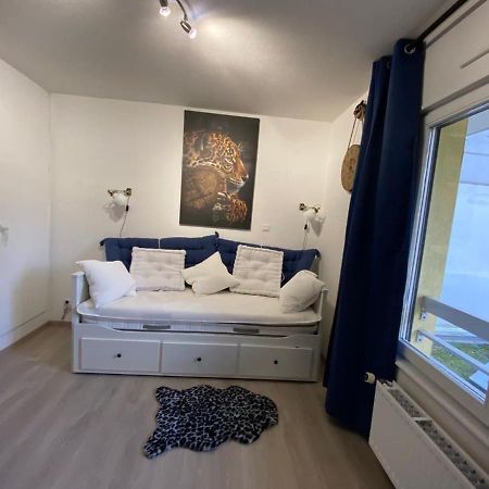 Appartement Esplanade Strasbourg Luaran gambar