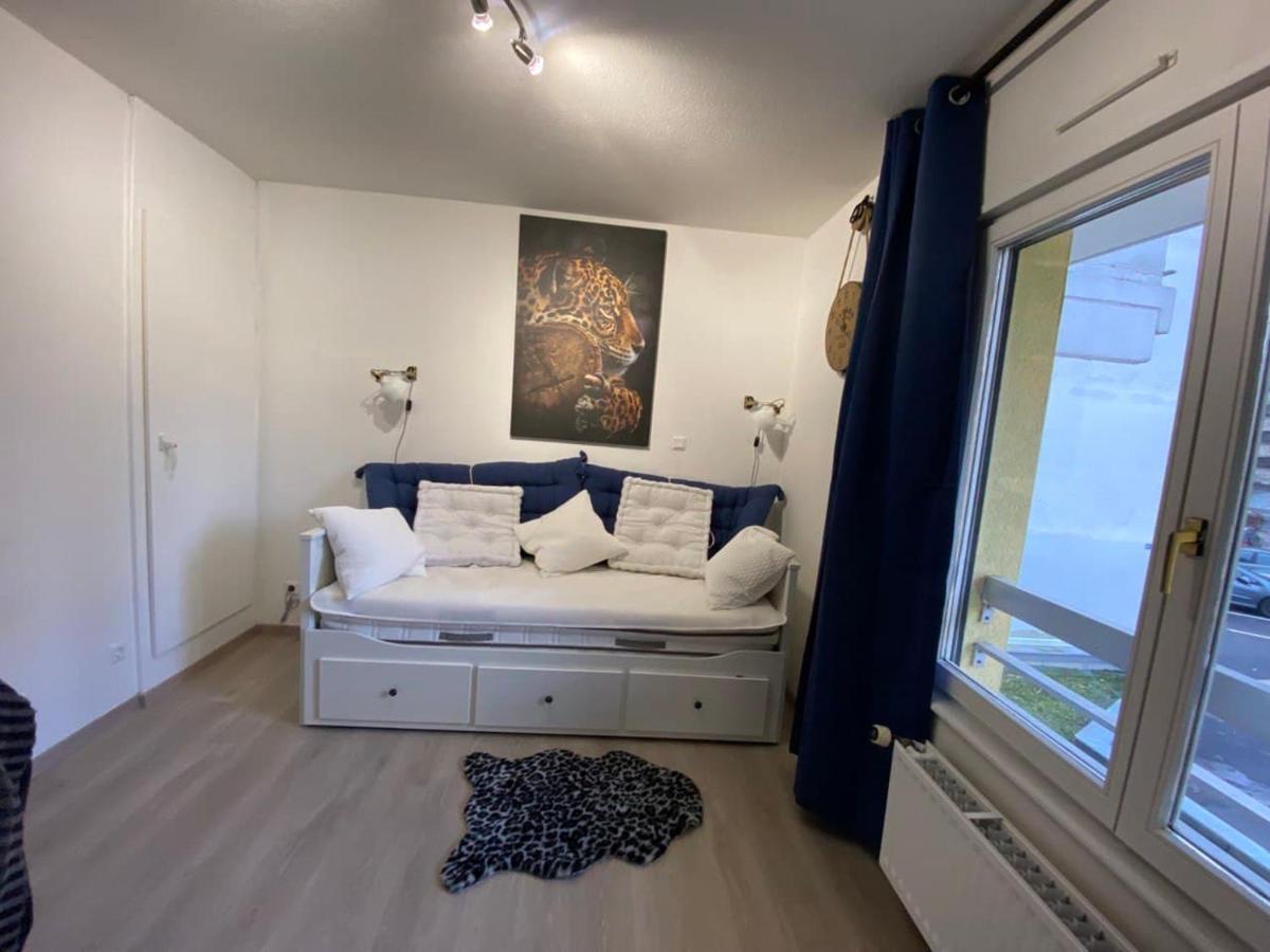 Appartement Esplanade Strasbourg Luaran gambar